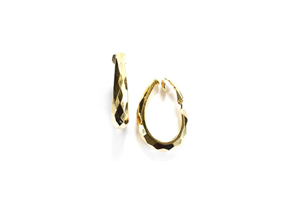 Gold Plated | Fashion Earrings